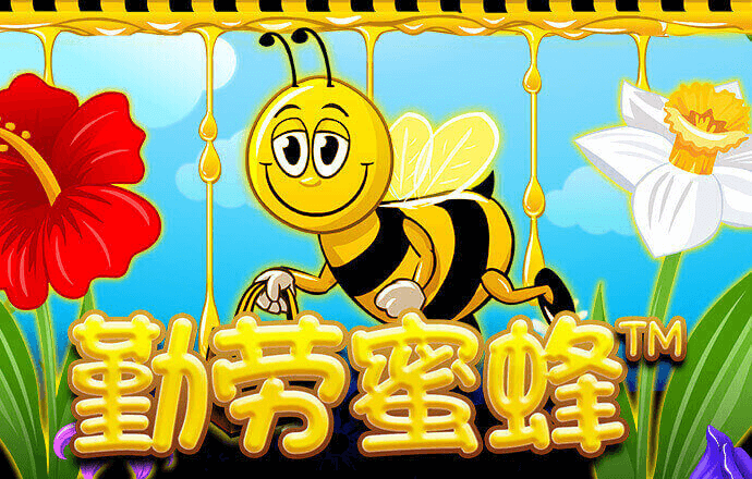 半岛·BOB官方网站